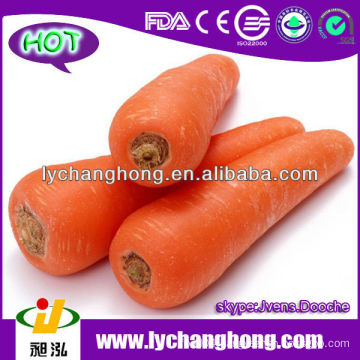 2014 New Crop Fresh Carrot from China,Xiamen